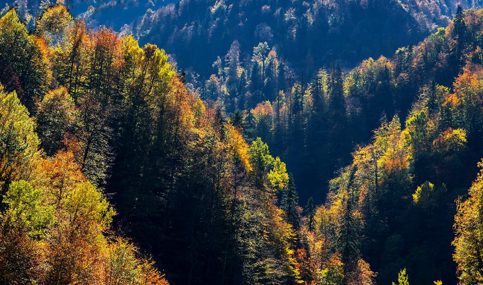 Yayla Yolu Boyu Bu Manzaralarla Hep İç İçe Çıktık Torkul Gölüne Kadar.. 1