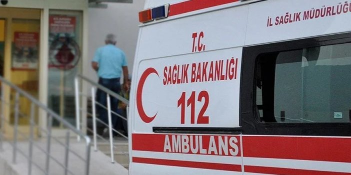 Adana'da köpek sürüsü yaşlı kadını parçaladı