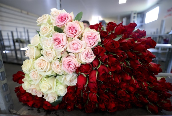 Çukurova'da çiçekler Anneler Günü için hazırlanıyor