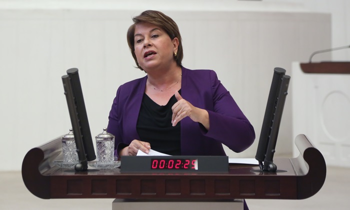 Türkmen;“Mülteciler konusunda bir entegrasyon stratejisi üretmeliyiz”