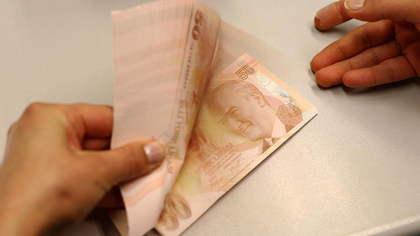Fitch'e rağmen TL bir haftada yüzde 5 kazandırdı