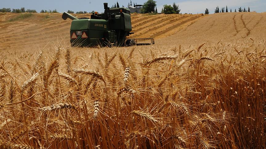 Adana Hazine arazilerini kiralamada yaptığı başvurularla ön sıralarda