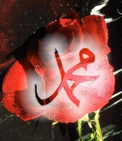 İnsanlık rahmet'i bir anlayabilse...