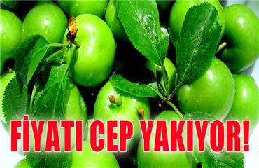 Mut?ta erik üreticinin yüzünü güldürüyor