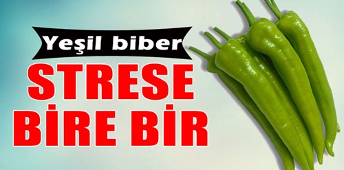 Yeşil biber stresi azaltıyor