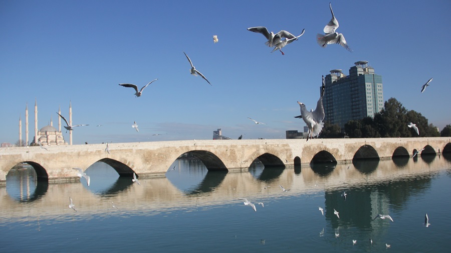 adana-1-012.jpg