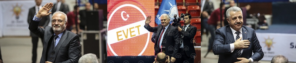 akp.jpg