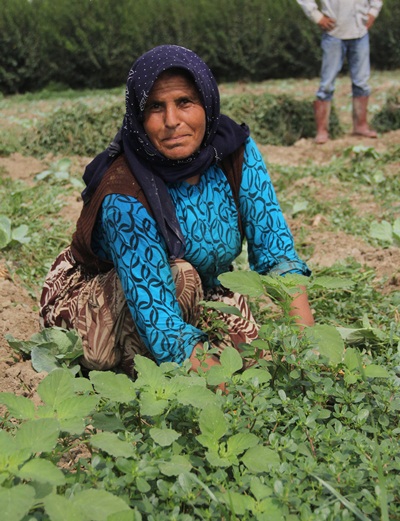 aysel-vadi.jpg