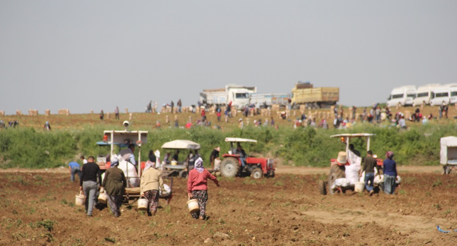 basak-borsasi-1.jpg