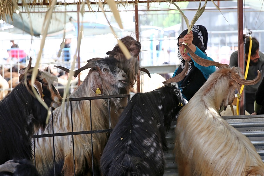 bayramlasma.-1-jpg.jpg