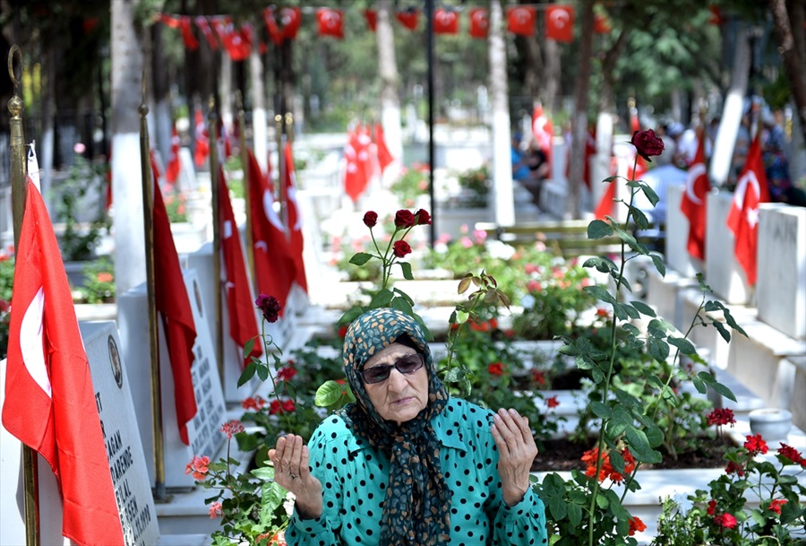 mersin-1-001.jpg