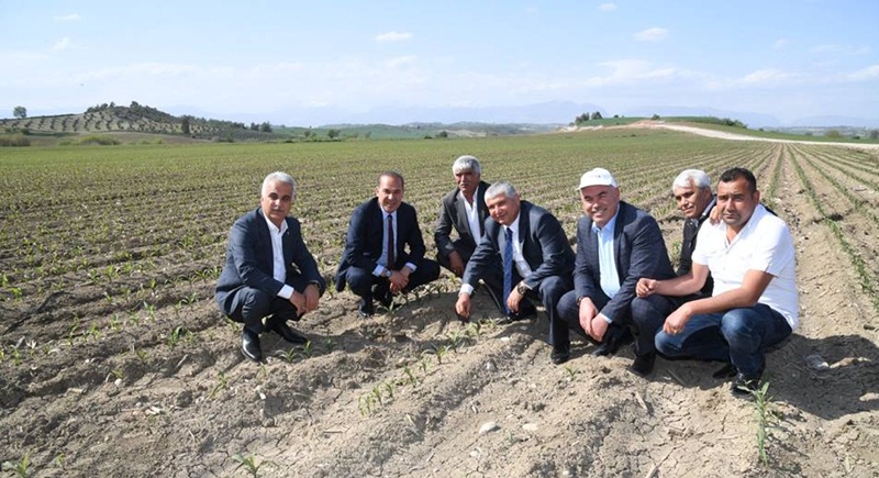 mhp-evet.jpg