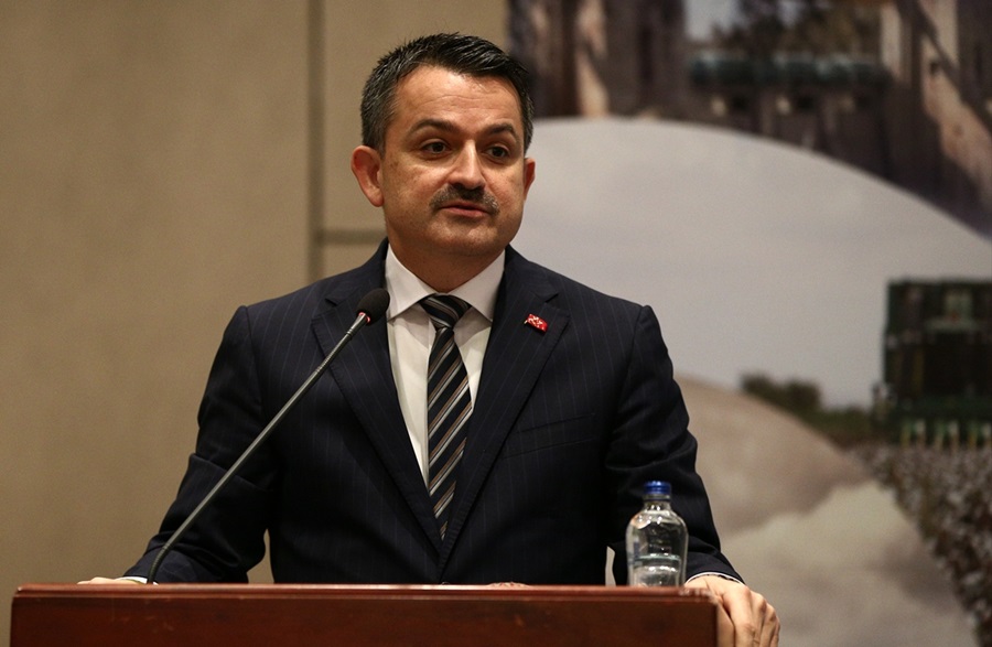 pakdemirli.jpg