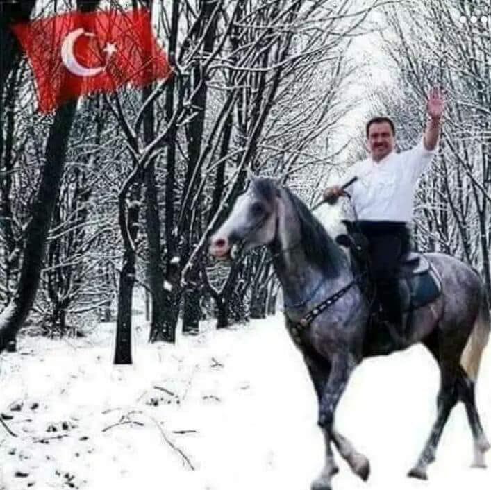 reis.jpg