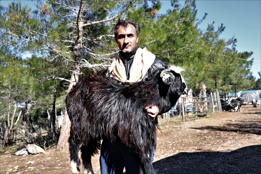 sarikecili-yorukleri-2.jpg