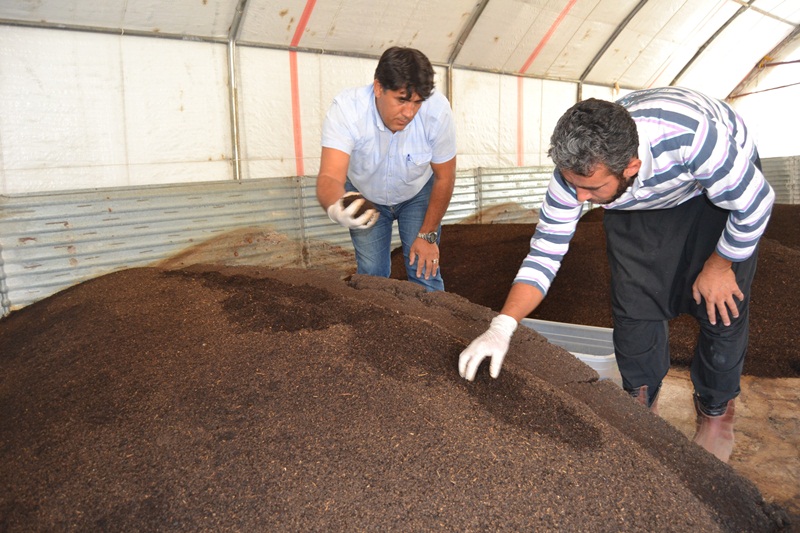 solucan-gubresi-1.jpg