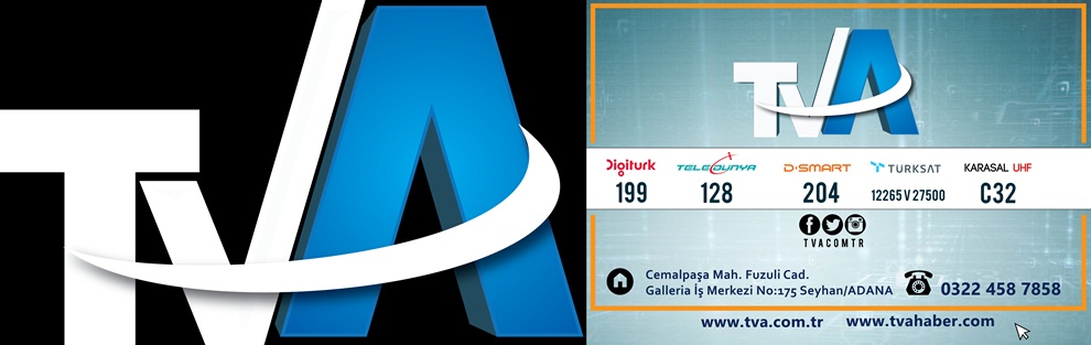 tv-a.jpg