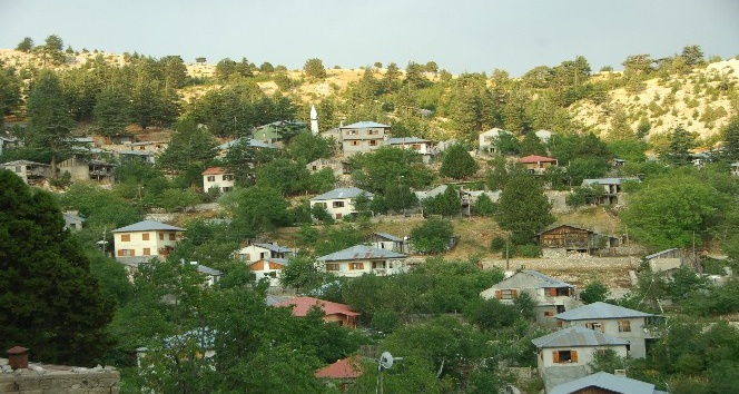 yayla-001.jpg
